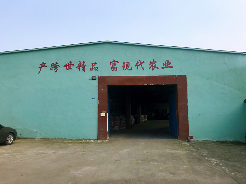 廠區(qū)